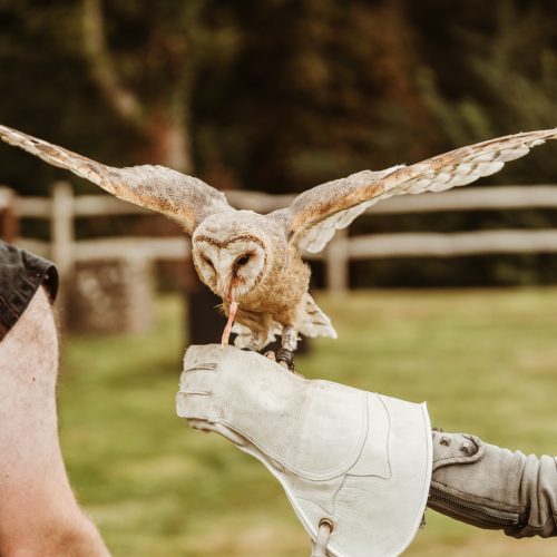 Sussex Handfasting Photography