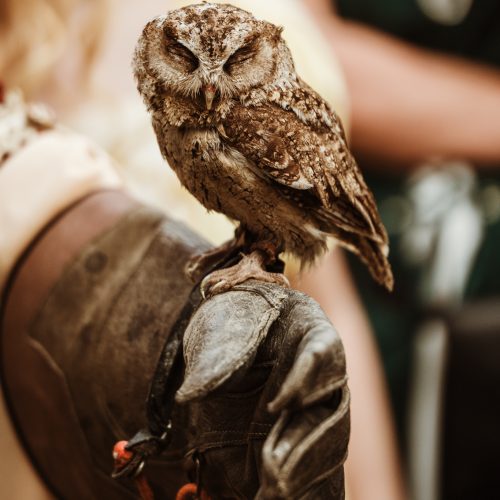 Sussex Handfasting Photography
