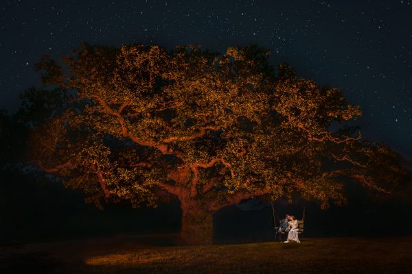 Sussex Media Design-40